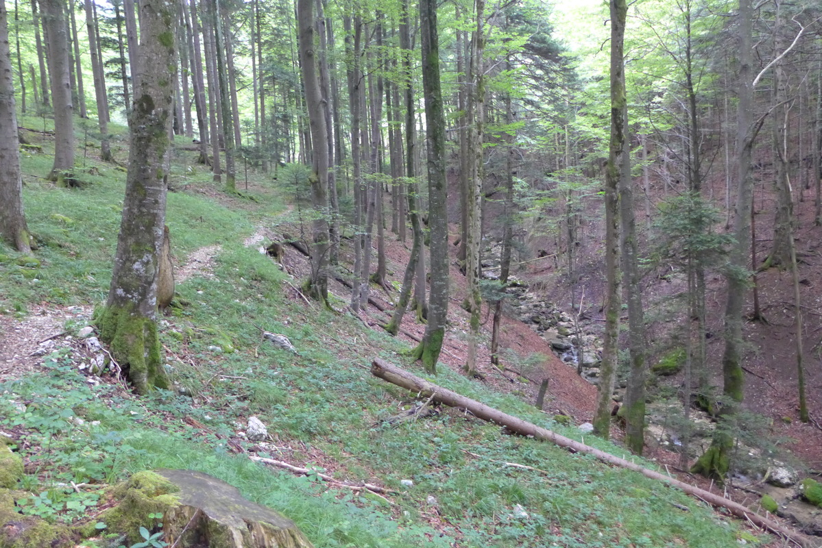 p1050278.jpg
