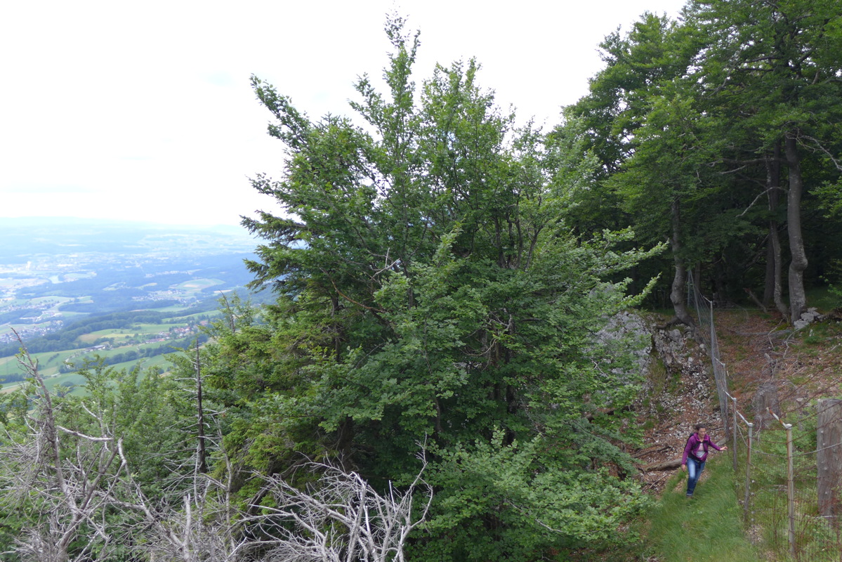 p1050285.jpg