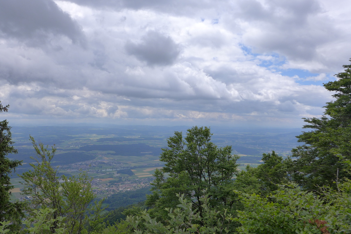 p1050288.jpg