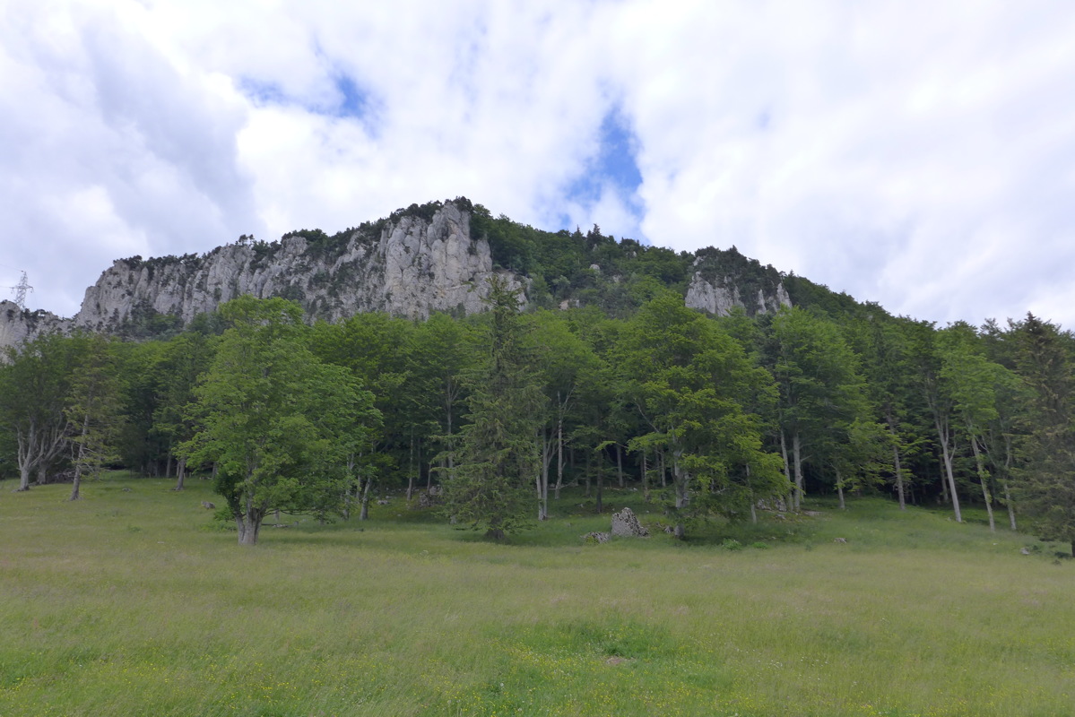 p1050290.jpg