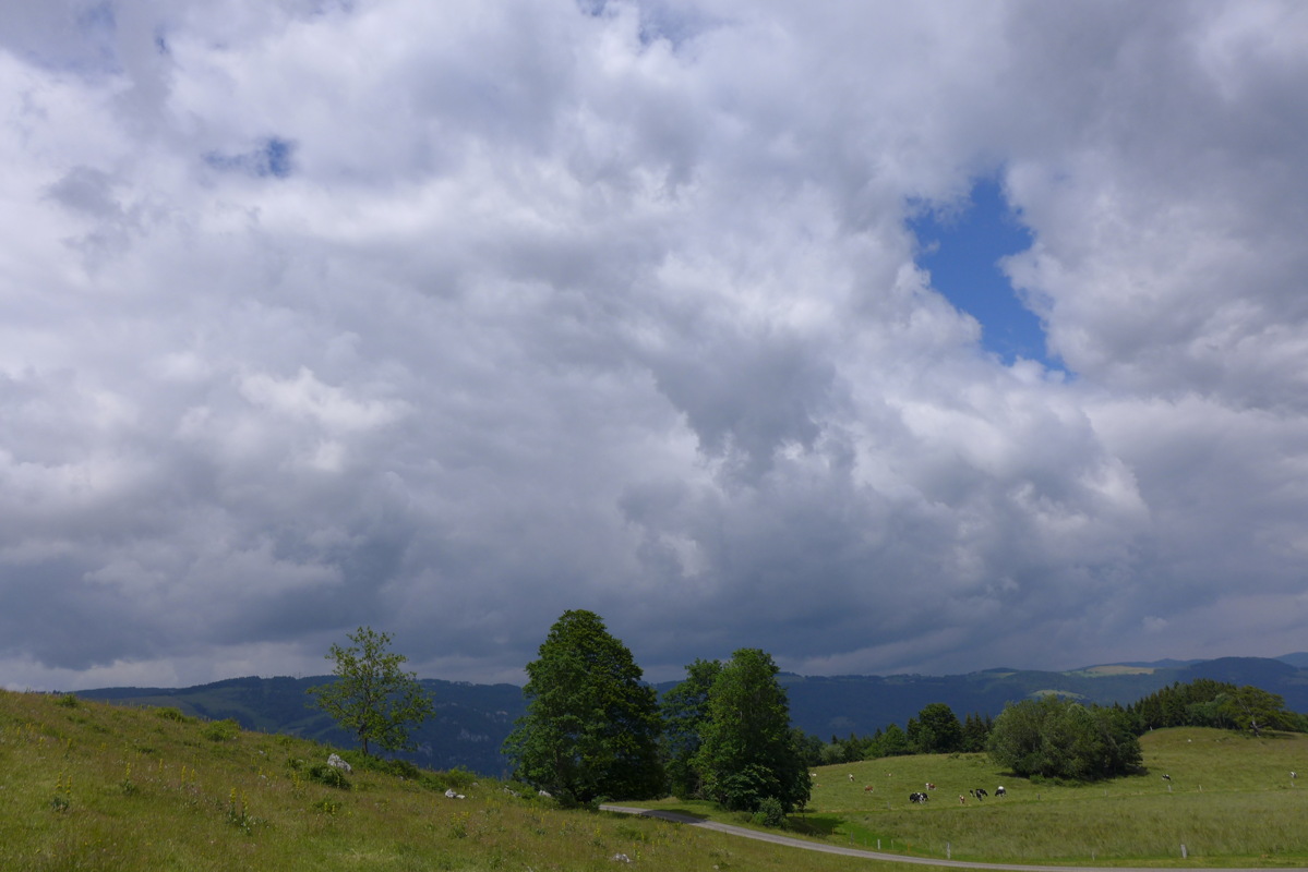 p1050294.jpg