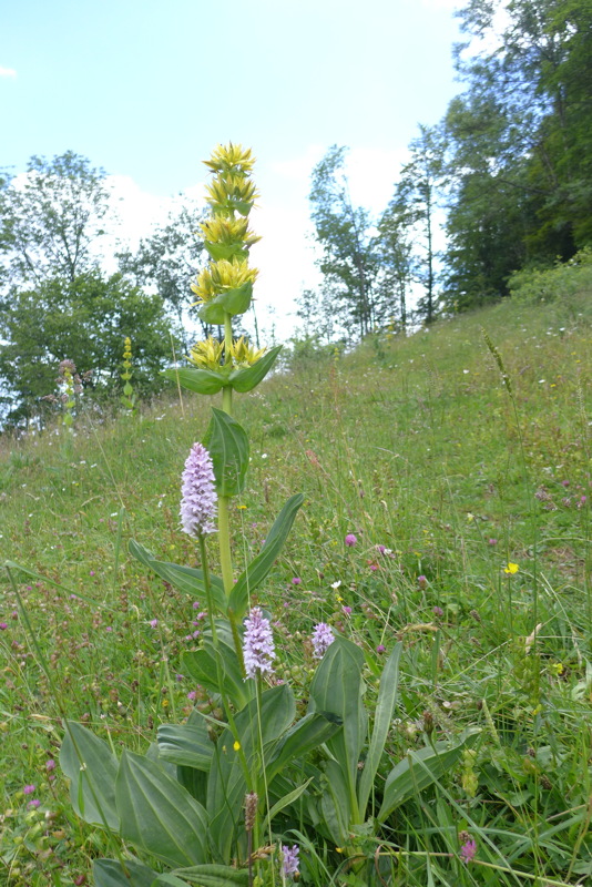 p1050295.jpg