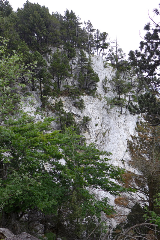 p1050299.jpg