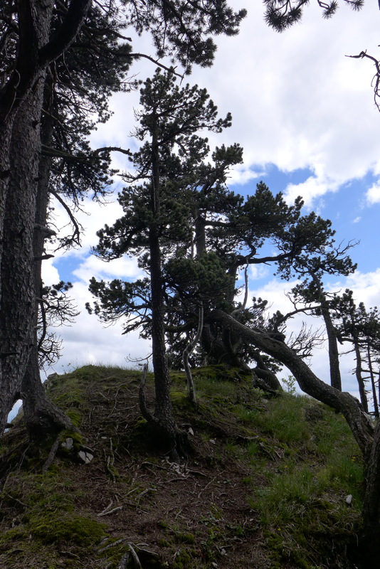 p1050300.jpg