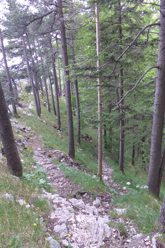 p1050304.jpg