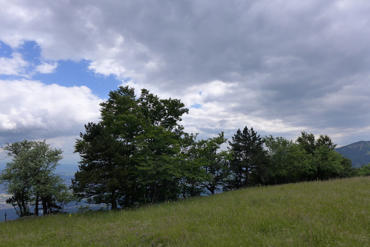 p1050305.jpg