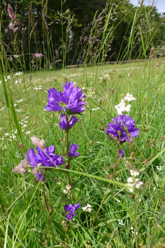 p1050316.jpg