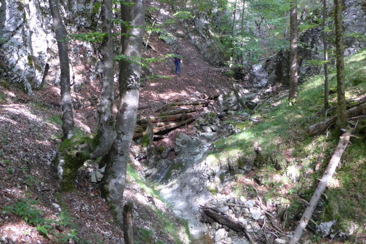 p1050320.jpg