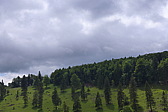 p1050280.jpg