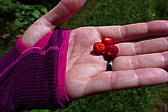 p1050281.jpg