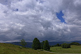 p1050294.jpg