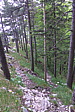 p1050304.jpg