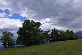 p1050305.jpg