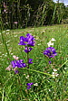 p1050316.jpg