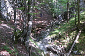 p1050320.jpg
