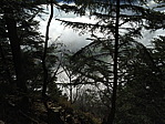 img_0381.jpg
