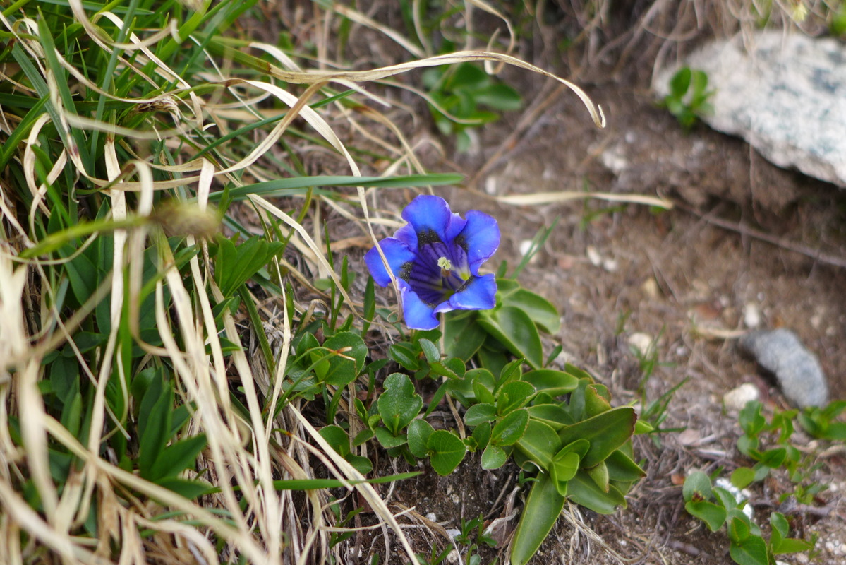 p1050342.jpg