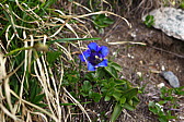 p1050342.jpg