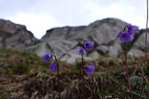 p1050344.jpg