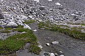 p1050400.jpg