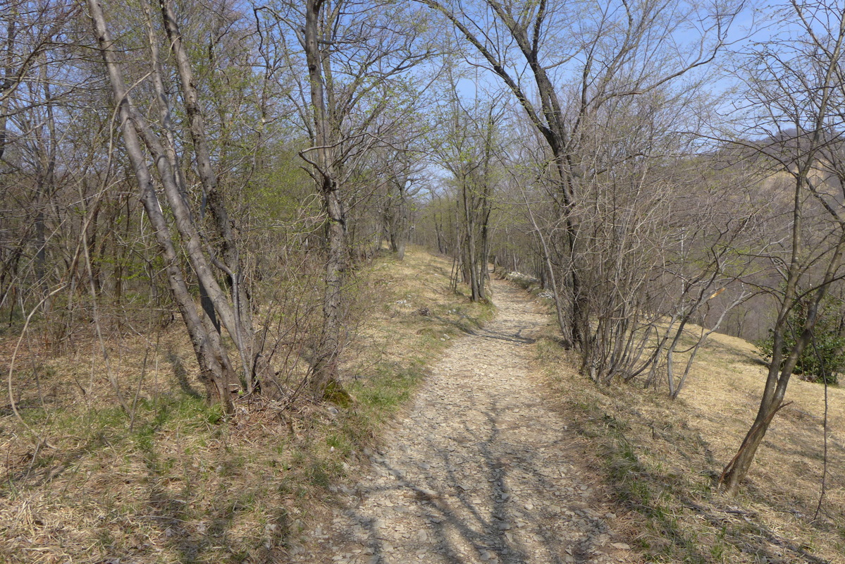 p1040538.jpg