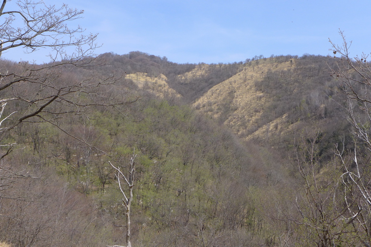 p1040541.jpg
