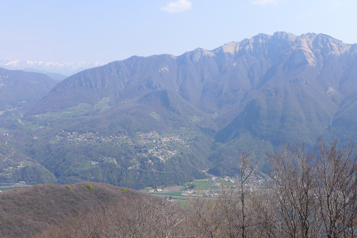 p1040550.jpg