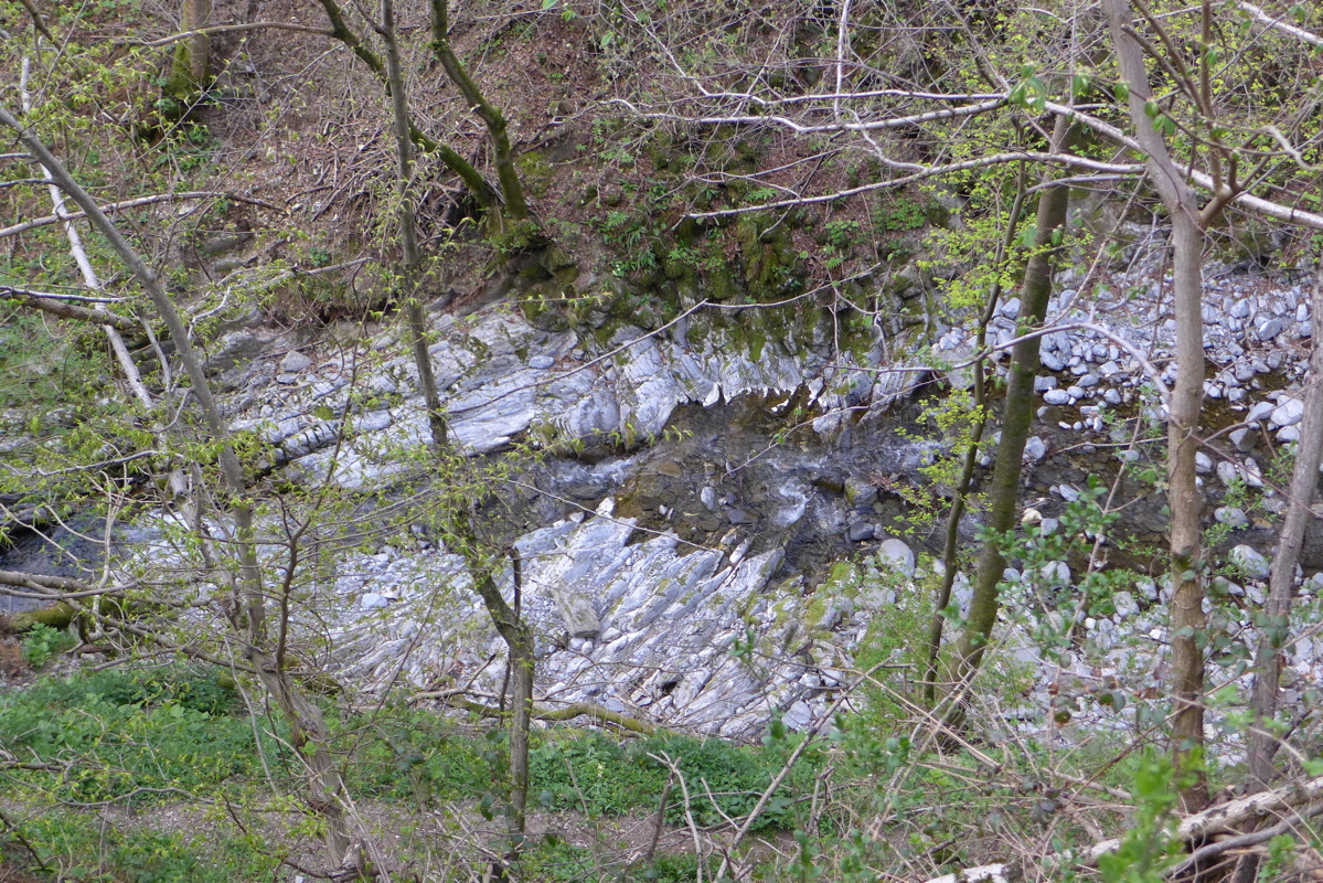 p1040598.jpg