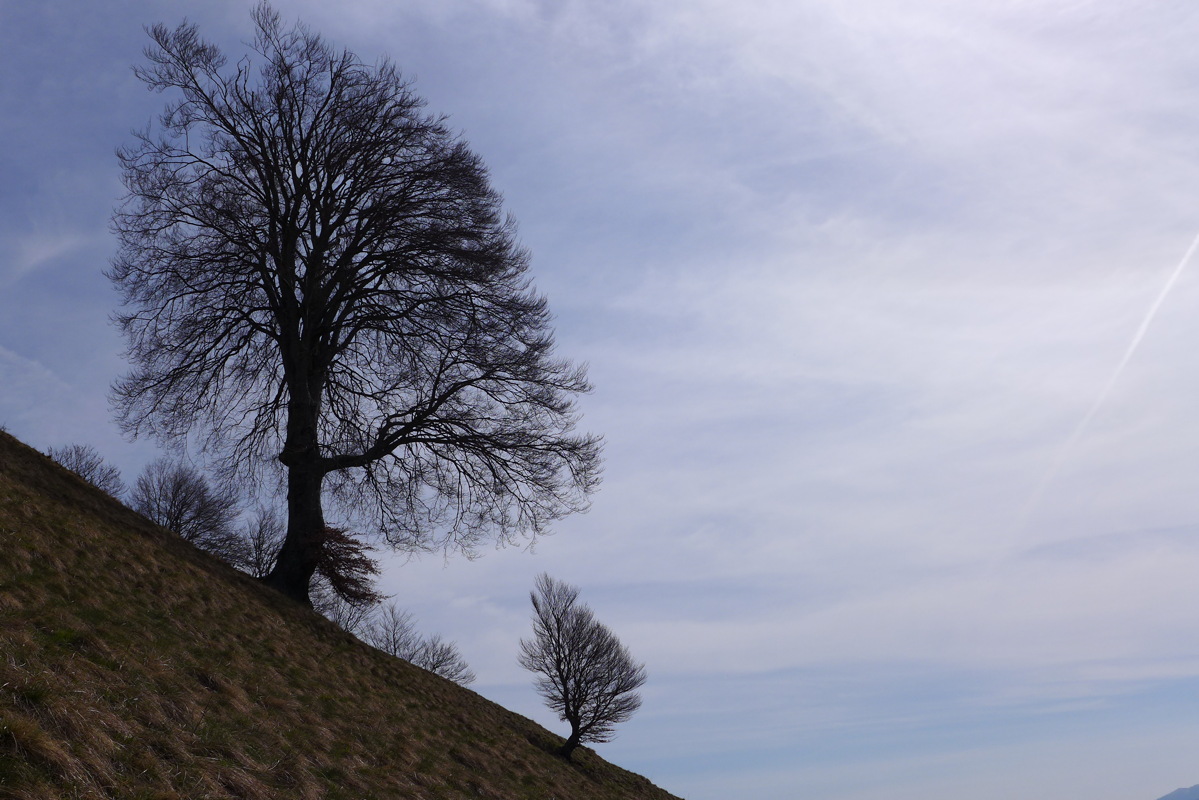 p1040614.jpg