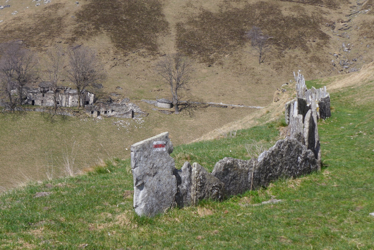 p1040617.jpg