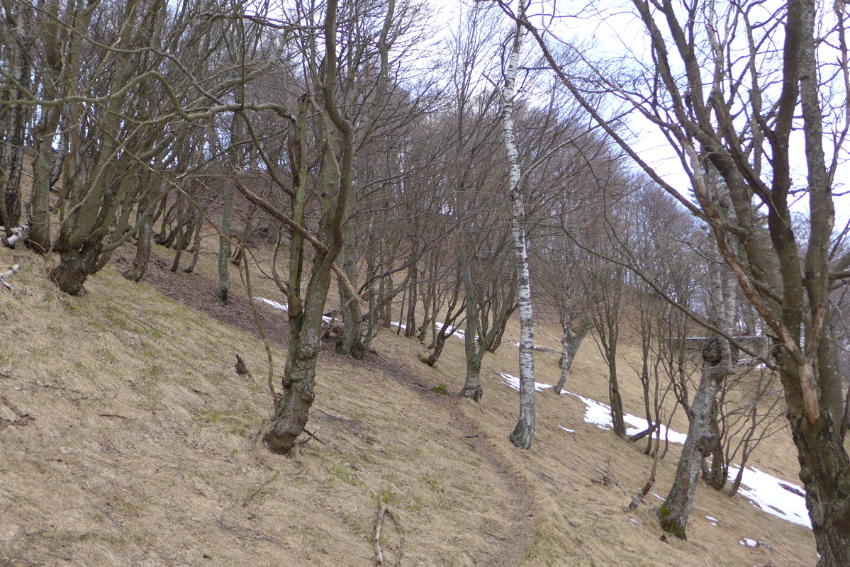 p1040628.jpg