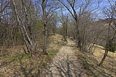 p1040538.jpg