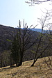 p1040539.jpg