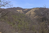 p1040541.jpg
