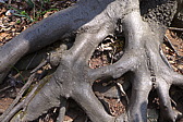 p1040552.jpg