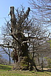 p1040555.jpg