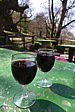 p1040558.jpg