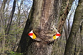 p1040569.jpg