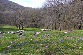 p1040580.jpg