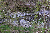 p1040598.jpg