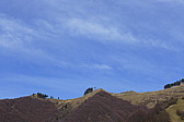 p1040613.jpg