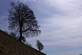 p1040614.jpg