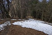 p1040624.jpg