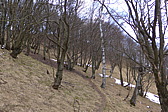 p1040628.jpg