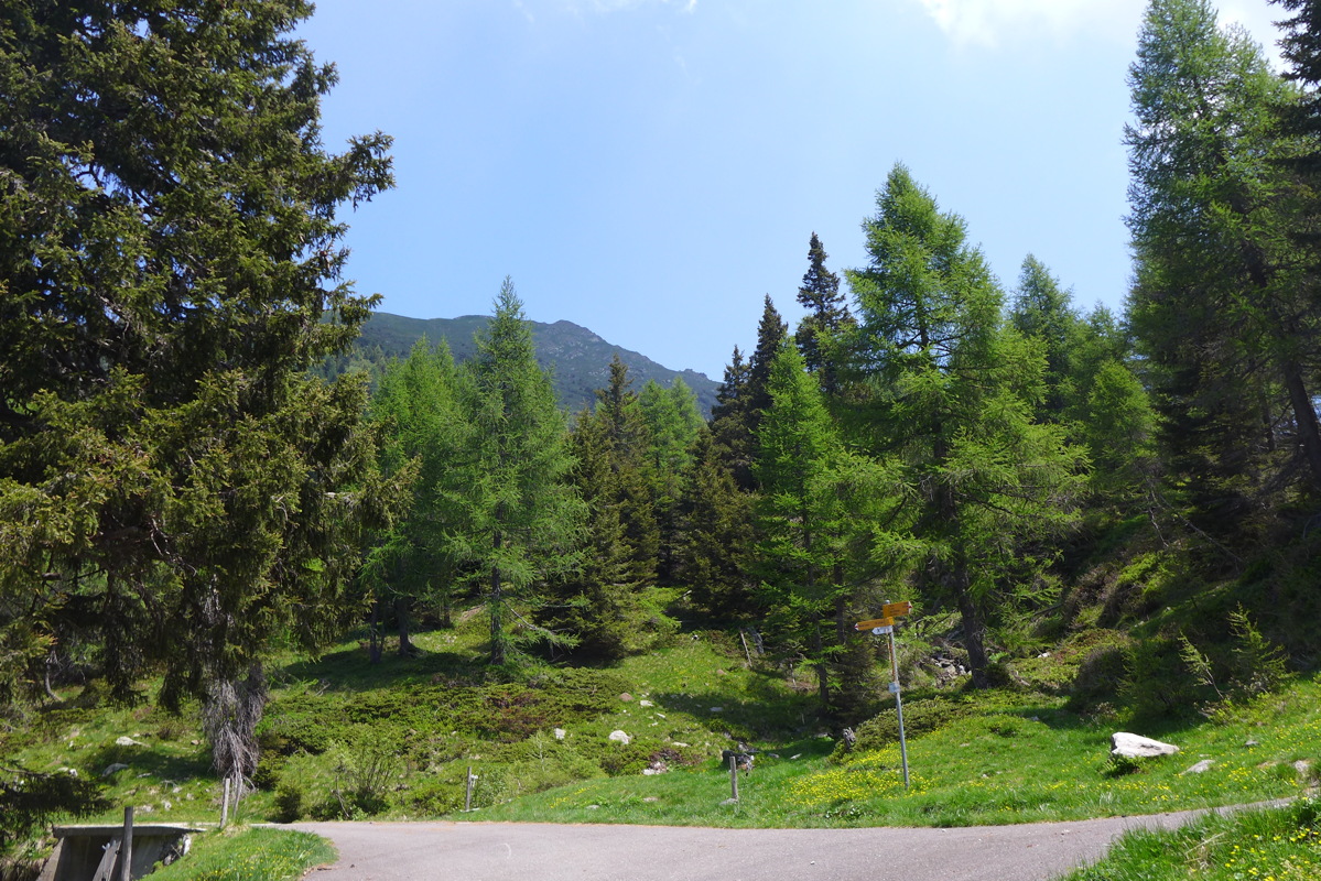 p1050170.jpg