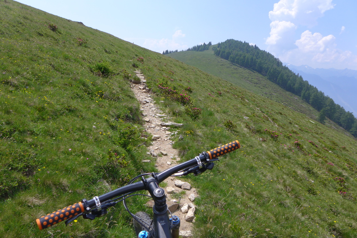 p1050175.jpg