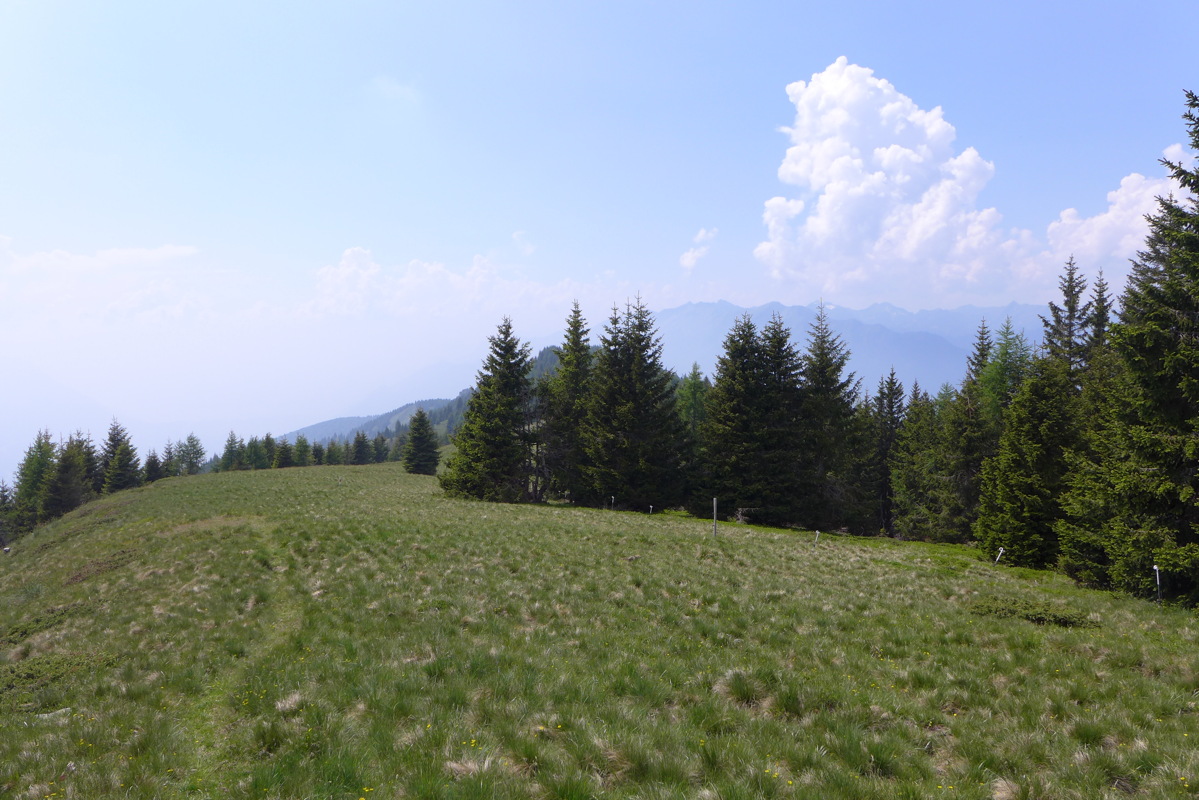 p1050177.jpg