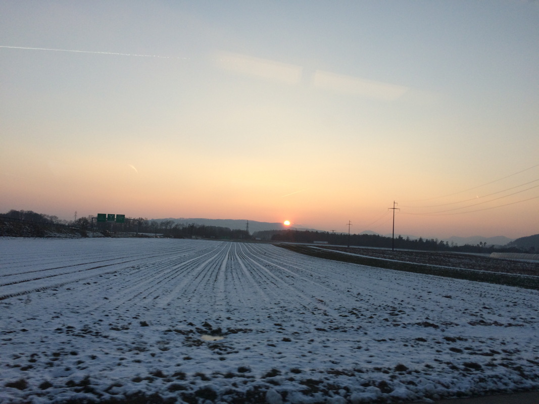 img_0236.jpg