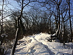 img_0233.jpg