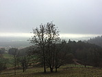 img_0546.jpg